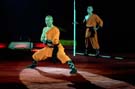 050301krone_kung_fu15