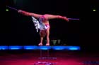 060301circus_krone024