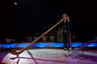 060301circus_krone034