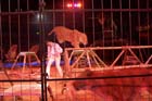 060301circus_krone059