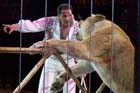 060301circus_krone060