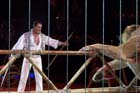 060301circus_krone062