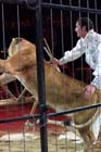 060301circus_krone063