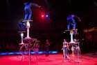 060301circus_krone078