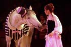 060301circus_krone097