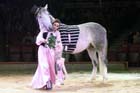 060301circus_krone098
