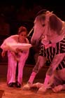 060301circus_krone102