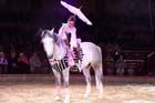 060301circus_krone104