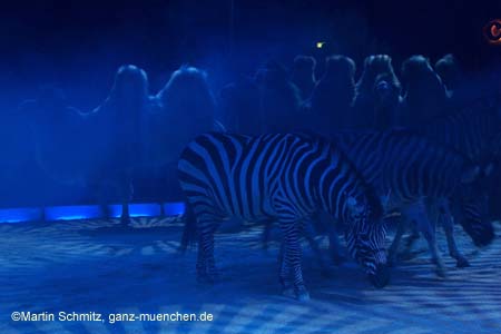 051225circus_krone014
