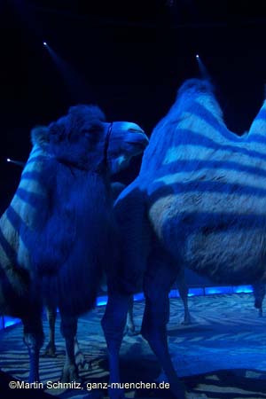 051225circus_krone016