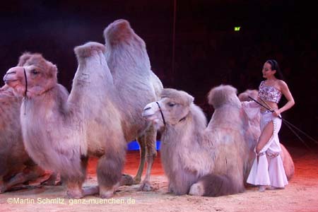 051225circus_krone019