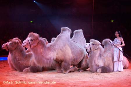 051225circus_krone021
