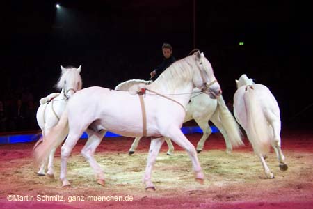 051225circus_krone028