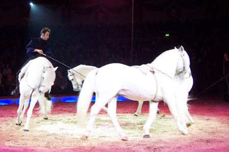 051225circus_krone029
