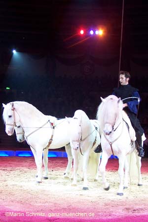051225circus_krone030