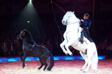 051225circus_krone035