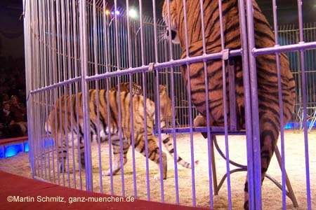 051225circus_krone088