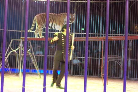051225circus_krone093