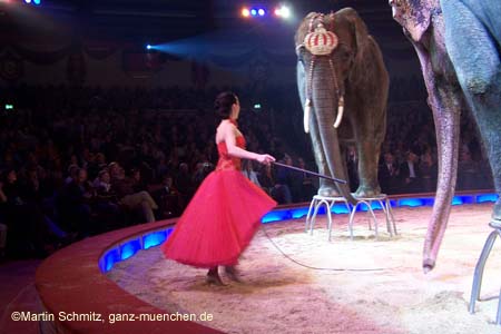 051225circus_krone105