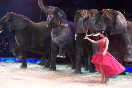 051225circus_krone110