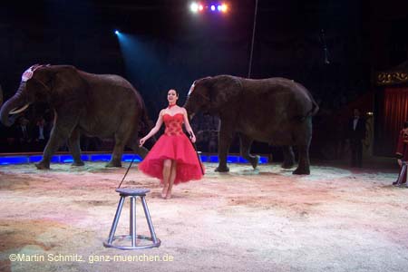 051225circus_krone120