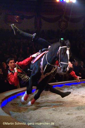 051225circus_krone172