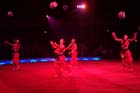 051225circus_krone008