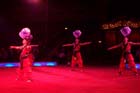 051225circus_krone009