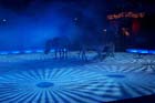 051225circus_krone013