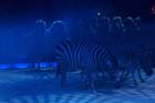 051225circus_krone014