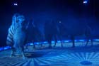 051225circus_krone015