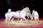 051225circus_krone028