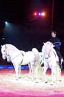 051225circus_krone030