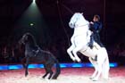 051225circus_krone035