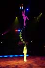 051225circus_krone039