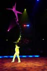 051225circus_krone040