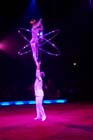 051225circus_krone041