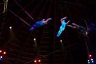 051225circus_krone052