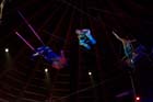 051225circus_krone054