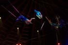 051225circus_krone055