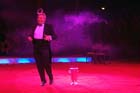 051225circus_krone060