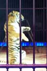 051225circus_krone086