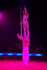 051225circus_krone099