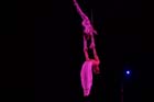 051225circus_krone100