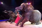 051225circus_krone114