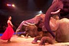 051225circus_krone117