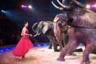 051225circus_krone118