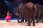 051225circus_krone125
