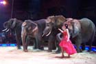 051225circus_krone126
