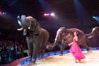 051225circus_krone127
